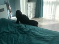 Caught the maid stealing and fucked her for it in a wet pussy