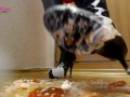 Filthy boots tomatoes and cream squashing