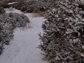 Quick public blowjob in the snow - Anthony Jonezs