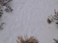 Quick public blowjob in the snow - Anthony Jonezs