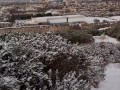 Quick public blowjob in the snow - Anthony Jonezs