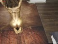 Erotic Masturbation—