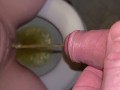 FAN REQUEST His POV Cross Streaming w/ MILF & soaking her pussy. I lick her pissy clit when complete