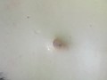 Cummybush BELLYBUTTON CUM perfect shot fills navel and sprays FUR scarf -sexy MILF PAWG satin gloves