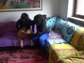 Please daddy, spank me hard!! Thick booty getting spanked