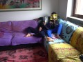 Please daddy, spank me hard!! Thick booty getting spanked