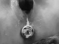Creamy pussy dripping on buttplug while cumming - Double penetration orgasm POV