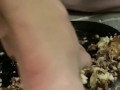 Cock Cake Crush pt.2 comment for more ????