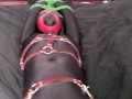 Bodysuit Bondage - Miss Perversion teased with a wand in bondage while wearing a bodysuit and latex