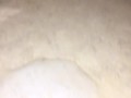 Little pocket Vibrator, Big Cumshot!