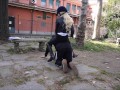 8 Marzo - Pony Play per la Giornata della Donna