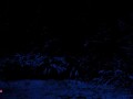 NO SOUND BTS Hoop and Snow Photoshoot