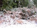 NO SOUND BTS Hoop and Snow Photoshoot