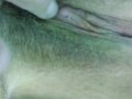 Spit on my clit and come taste me