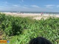 Quickie  in the bush on the beach - Anal outdoor