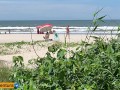 Quickie  in the bush on the beach - Anal outdoor