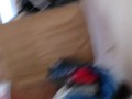 That looks like a penis only smaller :)