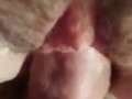 Stretched Pussy