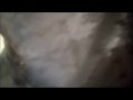 Fucked doggy style and creampie / cumdrip