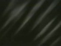 community_VS:false_2021/03/15 18:40