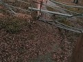 Naked on the trail