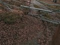 Naked on the trail