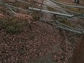 Naked on the trail