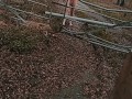 Naked on the trail