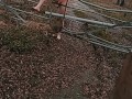 Naked on the trail