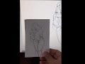 Monetize my animations and drawings please