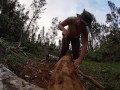 log skinning virgin no more