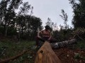 log skinning virgin no more