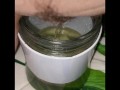 Girl Desperate piss in a jar 