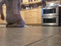 She cleans the floor and her clothes disappear! Jerk off and cum before she's done