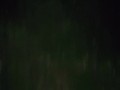 Ebony blow job outdoors pt2