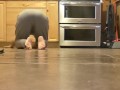 My housekeeper : naked on the floor on all fours !