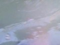 POV Risky Jerk off session outside in the backyard hot tub, cumming under water is so cool to watch 