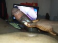 Black hunk oozing lots of cum masturbating 