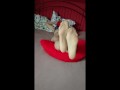 Anna Perv in tights - show feet foot
