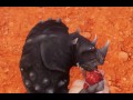 Adventures of Serenia - EP1 - Welcome to Wild Life