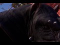 Adventures of Serenia - EP1 - Welcome to Wild Life