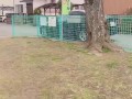 無修正　おじさん達に見られながら公園で全裸淫乱な姿でおしっこをしてみた　日本人