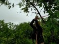 Tied Up Milf Angel Fowler Sucking Dani Dangers Cock in Forest