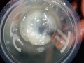 BBC Jerks and makes KFC Cum Sauce