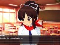 Senran Kagura Reflexions Review