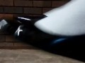 Squeaky Black Patent Wedges
