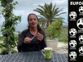 How to BDSM - Nippelgames with Thai-Sticks also known as Nipplesticks
