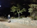 An exhibitionist sucked a dick at night in the park ! \ Stranger blowjob