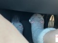 driving in slipper socks (muted) - glimpseofme