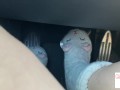 driving in slipper socks (muted) - glimpseofme